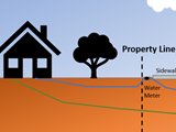 Graphic of a tree, home, and property line