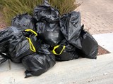 Eight black trash bags on the curb for Spring Clean Up