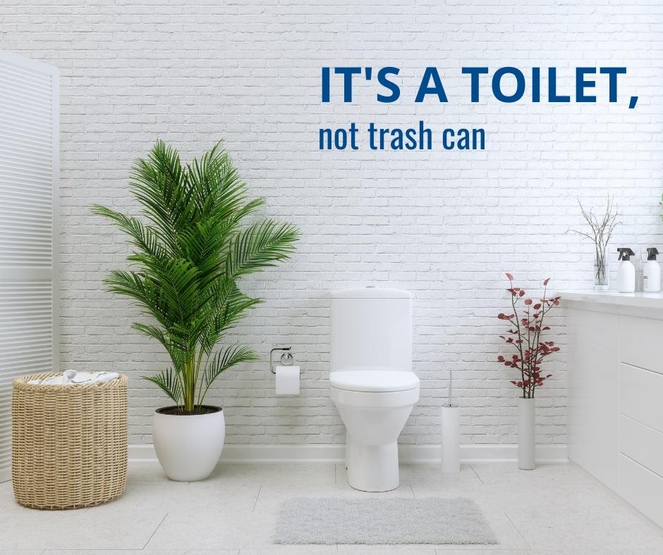 Image of a bathroom with the text, "It's a toilet, not a trash can"
