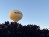 City of Meridian Water Tower above the trees