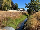 Irrigation canal with water surrounded by dry weeds and grass