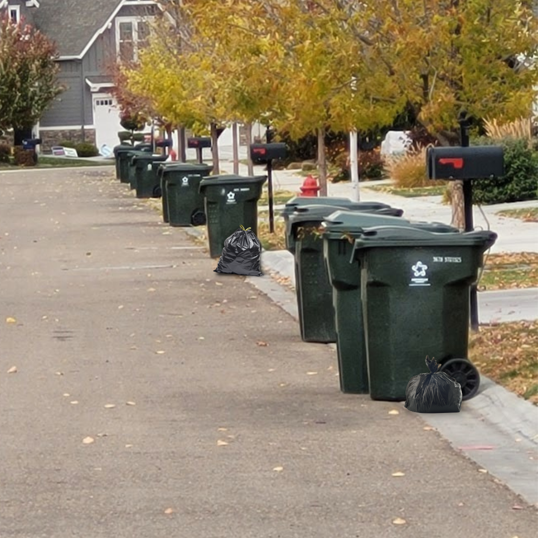 Recycle the Fall  City of Meridian