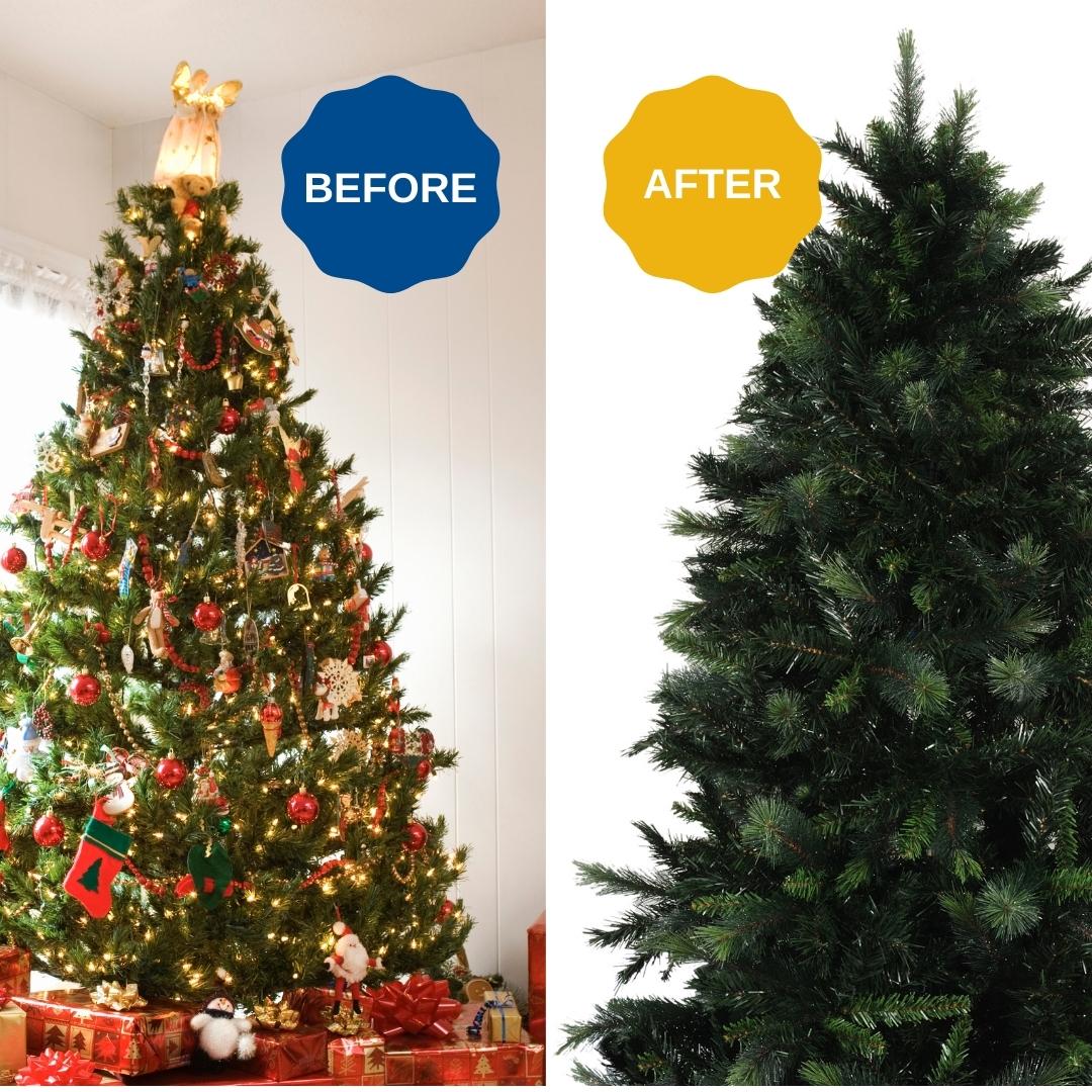 Two trees: one on the left is decorated with "Before" written above it, one on the right is undecorated with  "After" written above it.