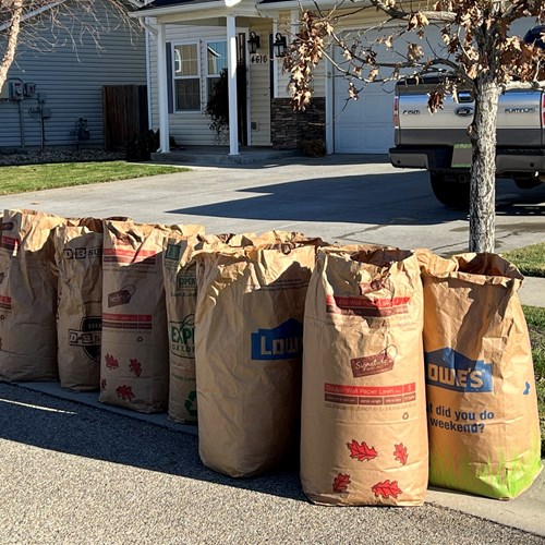 Brown paper leaf bags set out on the curb in Meridian for curbside leave pick up